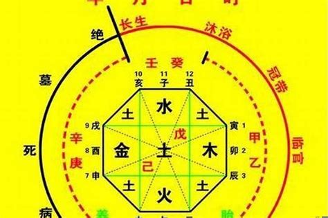 看命|生辰八字算命、五行喜用神查询（免费测算）